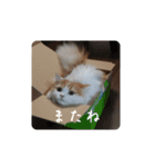 きぬ #4（個別スタンプ：14）