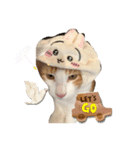 きょむのすけ（個別スタンプ：5）