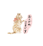 利光春華 猫たちの物語 vol.01 スタンプ（個別スタンプ：4）