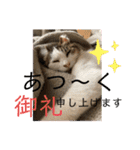 ゆきちゃんファミリー❤️（個別スタンプ：5）
