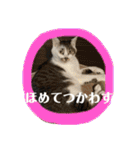 ゆきちゃんファミリー❤️（個別スタンプ：6）