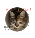 ゆきちゃんファミリー❤️（個別スタンプ：10）