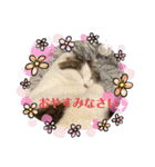 ゆきちゃんファミリー❤️（個別スタンプ：12）