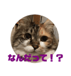 ゆきちゃんファミリー❤️（個別スタンプ：24）