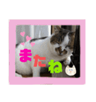 ゆきちゃんファミリー❤️（個別スタンプ：28）