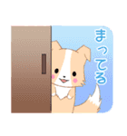 飛び出す！ちびボーダーコリー5【日常】（個別スタンプ：12）