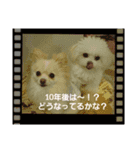 LUNA＆SEAだワン！！会話楽しんでねー（個別スタンプ：5）