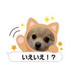 LUNA＆SEAだワン！！会話楽しんでねー（個別スタンプ：7）