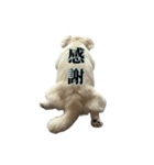 うちのミール君③（個別スタンプ：7）