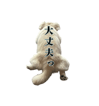うちのミール君③（個別スタンプ：22）