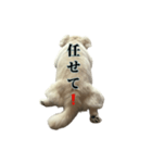 うちのミール君③（個別スタンプ：23）
