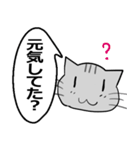 ひと言伝えるふきだしネコ 28（個別スタンプ：1）