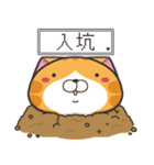 ランラン猫 50 (台湾版)（個別スタンプ：1）