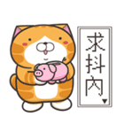 ランラン猫 50 (台湾版)（個別スタンプ：7）
