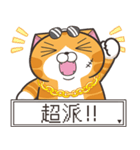ランラン猫 50 (台湾版)（個別スタンプ：9）