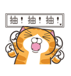 ランラン猫 50 (台湾版)（個別スタンプ：14）