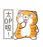 ランラン猫 50 (台湾版)（個別スタンプ：16）