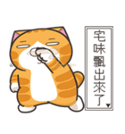 ランラン猫 50 (台湾版)（個別スタンプ：17）