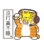 ランラン猫 50 (台湾版)（個別スタンプ：31）