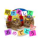 ねこまーち 鮮やかレッドプリンス（個別スタンプ：8）