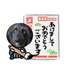 保護犬 リリ（個別スタンプ：6）