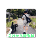 さらまるベイビー（個別スタンプ：8）