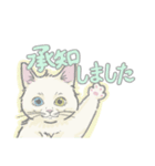 きちんと敬語ディノちゃん。（個別スタンプ：3）