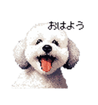 ドット絵 ビジョン フリーゼ 白 日常会話（個別スタンプ：1）