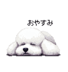 ドット絵 ビジョン フリーゼ 白 日常会話（個別スタンプ：2）