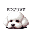 ドット絵 ビジョン フリーゼ 白 日常会話（個別スタンプ：4）