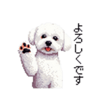 ドット絵 ビジョン フリーゼ 白 日常会話（個別スタンプ：5）