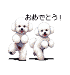 ドット絵 ビジョン フリーゼ 白 日常会話（個別スタンプ：13）