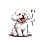 ドット絵 ビジョン フリーゼ 白 日常会話（個別スタンプ：17）