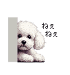 ドット絵 ビジョン フリーゼ 白 日常会話（個別スタンプ：29）