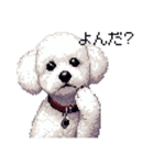 ドット絵 ビジョン フリーゼ 白 日常会話（個別スタンプ：30）