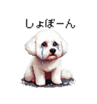 ドット絵 ビジョン フリーゼ 白 日常会話（個別スタンプ：31）