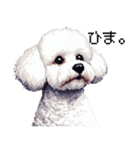 ドット絵 ビジョン フリーゼ 白 日常会話（個別スタンプ：35）