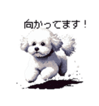 ドット絵 ビジョン フリーゼ 白 日常会話（個別スタンプ：39）