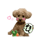 サーシャChan（個別スタンプ：2）