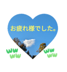 ビジネス敬語 同僚や友だちへの気遣い（個別スタンプ：12）