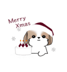 シーズースタンプ-冬 Stickers_Shih Tzu_k（個別スタンプ：1）