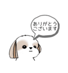 シーズースタンプ-冬 Stickers_Shih Tzu_k（個別スタンプ：8）