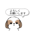 シーズースタンプ-冬 Stickers_Shih Tzu_k（個別スタンプ：12）