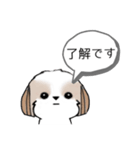 シーズースタンプ-冬 Stickers_Shih Tzu_k（個別スタンプ：16）