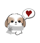 シーズースタンプ-冬 Stickers_Shih Tzu_k（個別スタンプ：17）