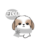 シーズースタンプ-冬 Stickers_Shih Tzu_k（個別スタンプ：20）