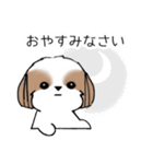 シーズースタンプ-冬 Stickers_Shih Tzu_k（個別スタンプ：24）