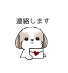 シーズースタンプ-冬 Stickers_Shih Tzu_k（個別スタンプ：30）