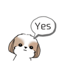 シーズースタンプ-冬 Stickers_Shih Tzu_k（個別スタンプ：33）