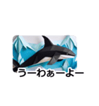 折り紙の動物たち【和歌山弁で】（個別スタンプ：7）